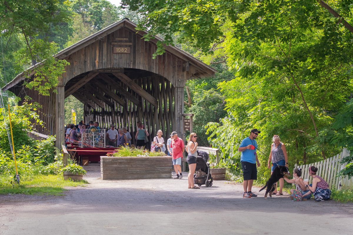 Lily Fest Brings Summer Brightness to Schoharie Photo
