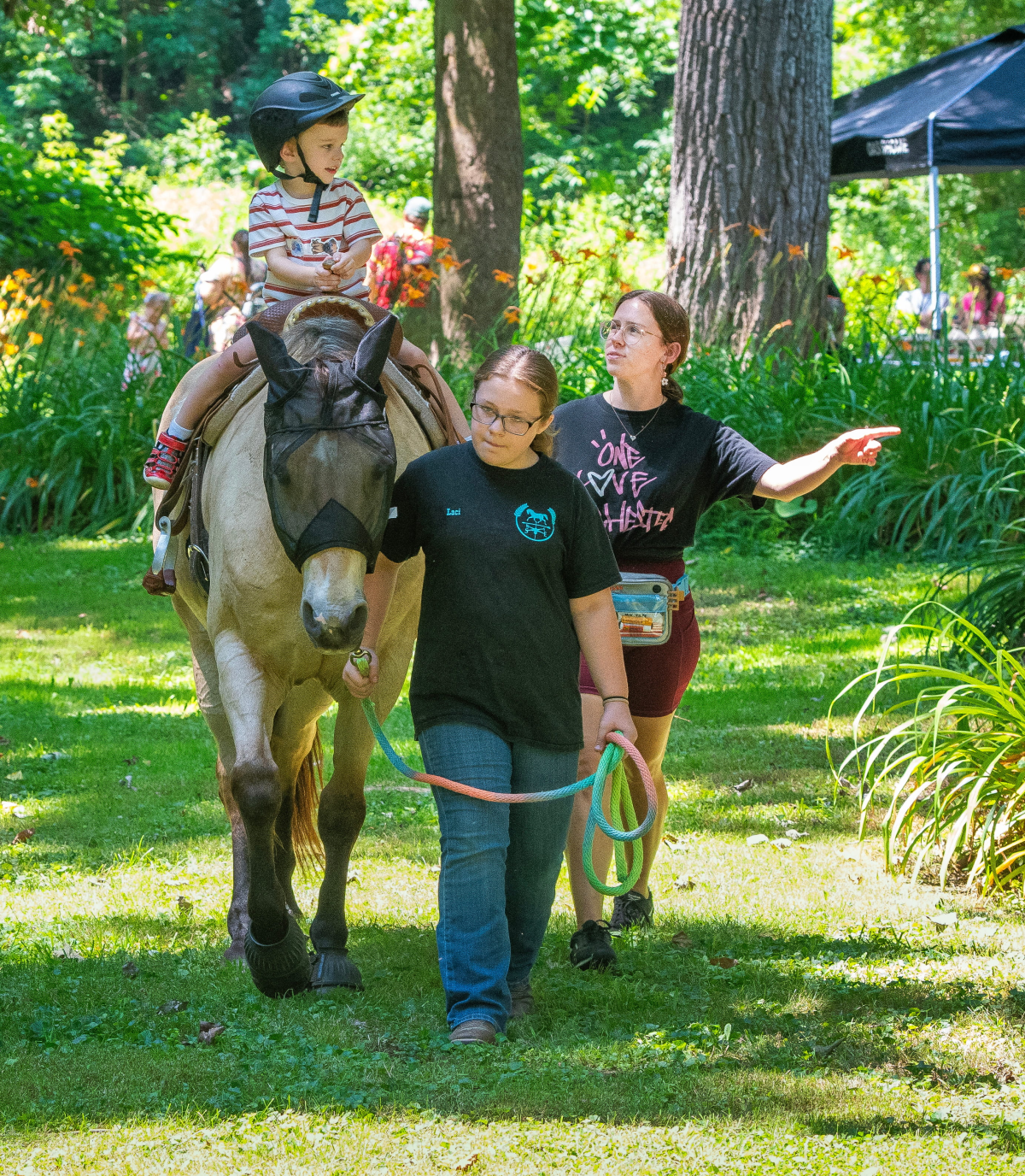 Lily Fest Brings Summer Brightness to Schoharie Photo