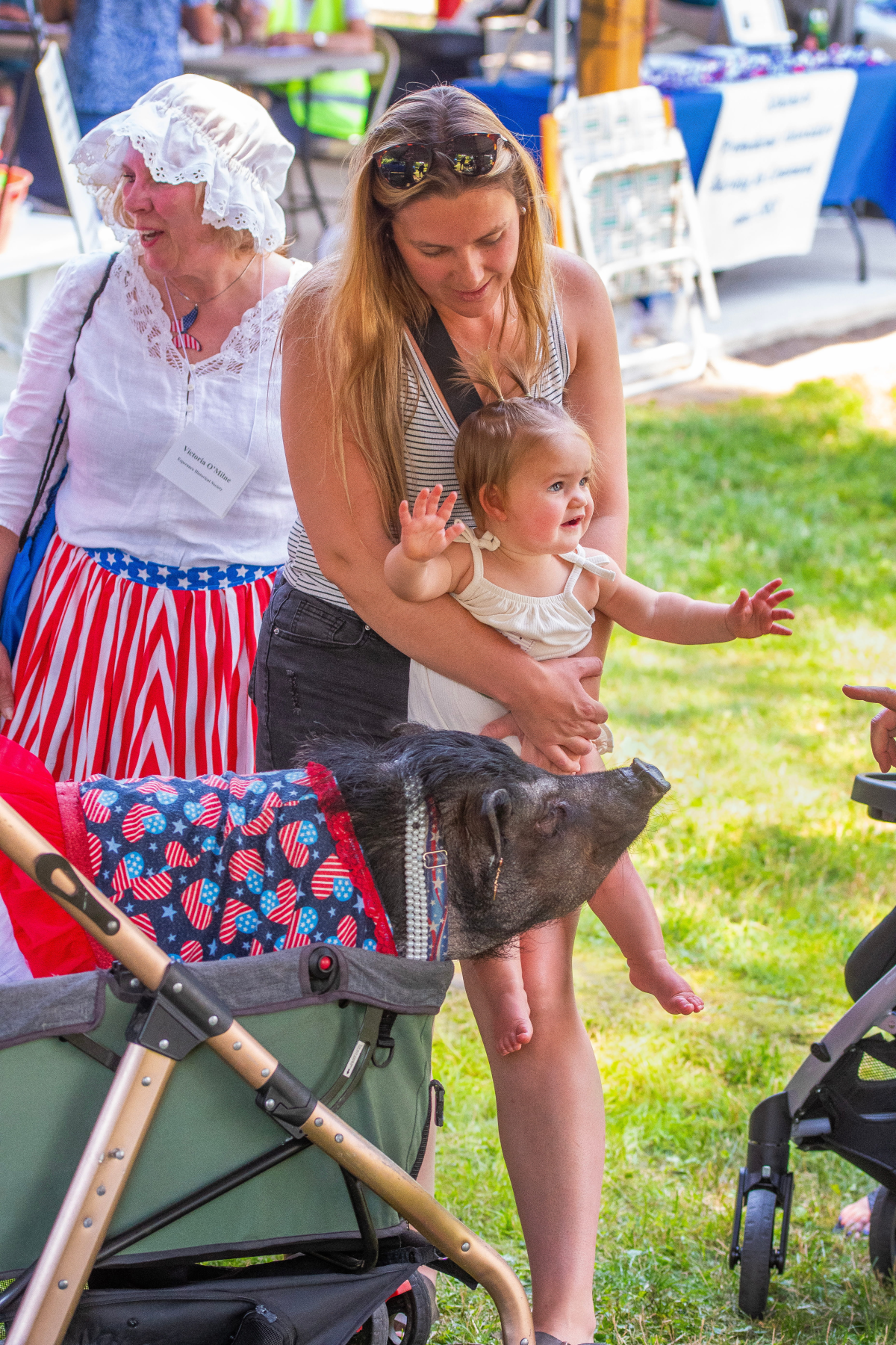 Lily Fest Brings Summer Brightness to Schoharie Photo