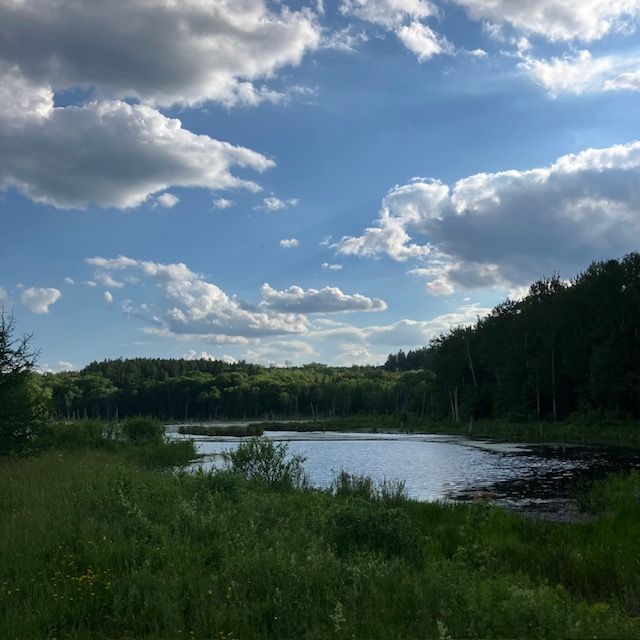 Looking Glass Pond Photo