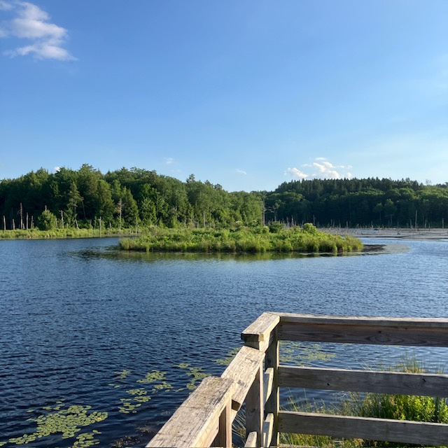 Looking Glass Pond Photo