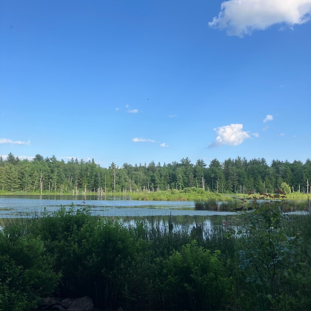 Looking Glass Pond Photo