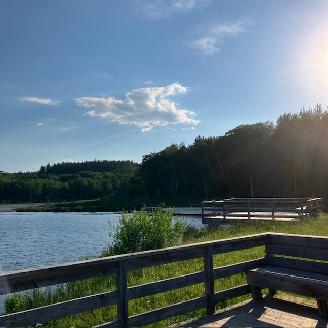 Looking Glass Pond Photo