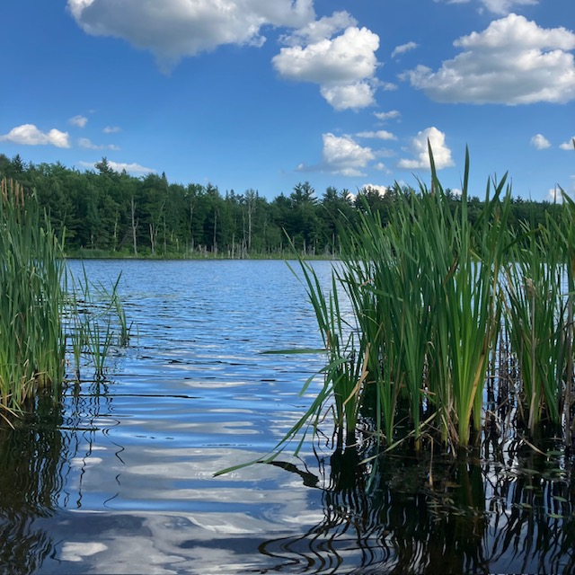 Looking Glass Pond Photo