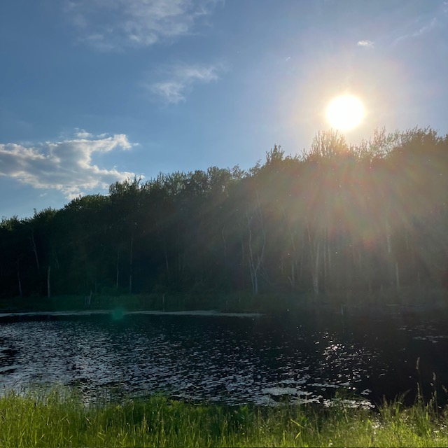 Looking Glass Pond Photo