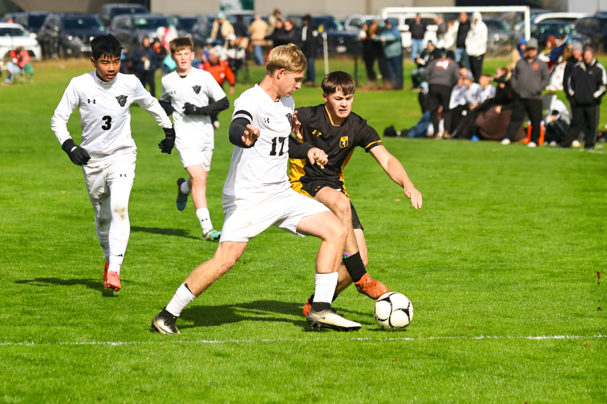 Edmeston Teams Sweep Inaugural Tri-Del Soccer Championships Photo