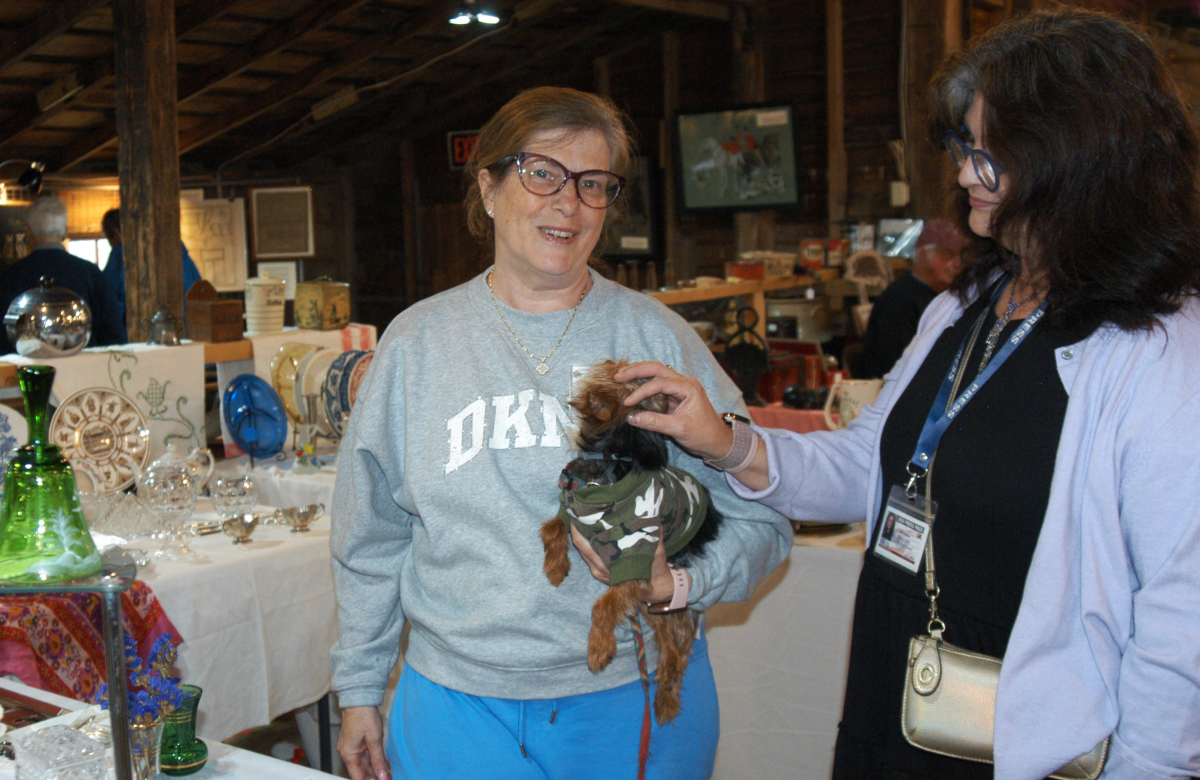 Great Weekend for Antiques in Schoharie Photo