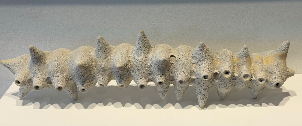 One Dreams Up Another: A Strong Showing at Delhi’s Bushel Collective Photo