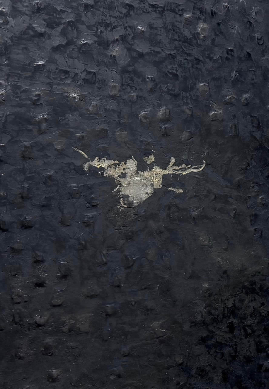 One Dreams Up Another: A Strong Showing at Delhi’s Bushel Collective Photo