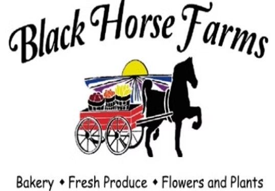 Black Horse Farms at Menands