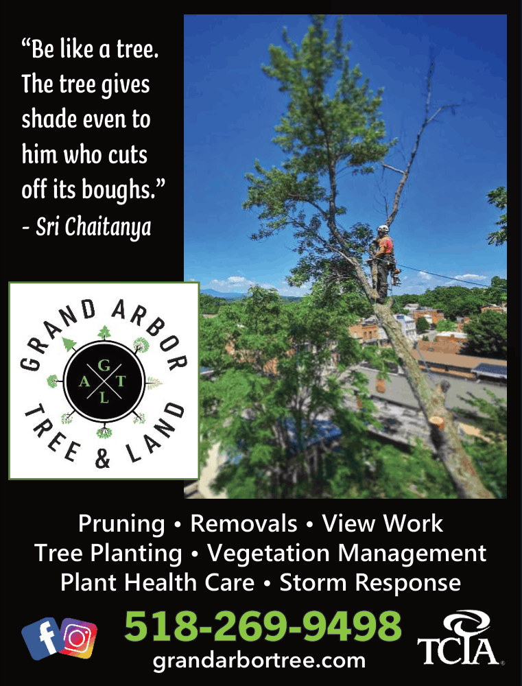 Grand Arbor Tree Service