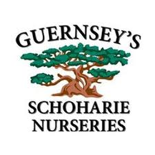 Guernsey's Schoharie Nursery